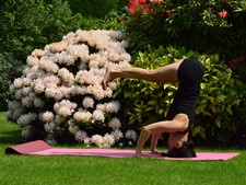 Urdhva Dandasana